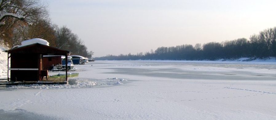 Zale�ena Sava 2012